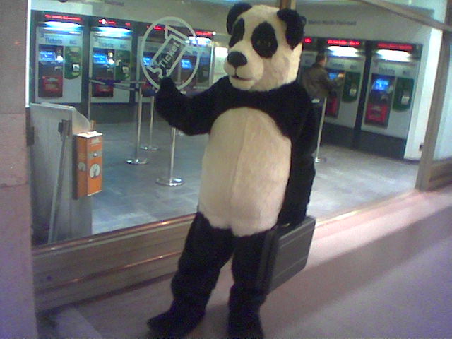 snappy panda phishing